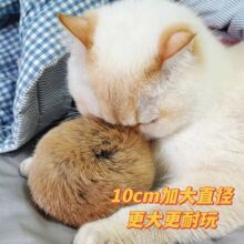 猫咪丰容天然真兔毛球内置猫薄荷虫瘿果逗猫互动自嗨解闷猫玩具