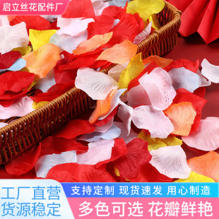 ����õ�廨�������������Ɍ��Ƶ�鷿�bY��Y��c��Ʒ������