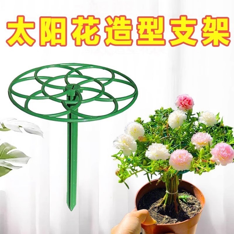 太阳花棒棒糖造型支架蟹爪兰嫁接专用单层多层支撑爬藤花架可拼接