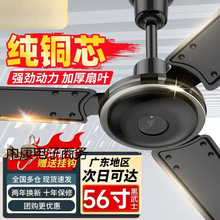 Lȼÿ͏dF~ɫIʽLȲ͏doL