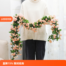 õ��ٻ����̨���@�����b�픿��{�ܵ��b��ٗl�ړ��p�@