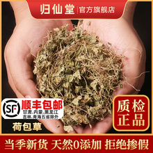 马蹄金中药材小金钱草500克新货无硫荷包草野生螺丕草黄胆草