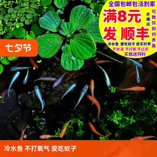 ��Ʒ�^�����F�~����� ���F�~�ǹ��~�� ��������ˮ�~С���~�^�p�~