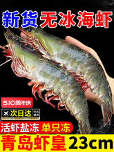 ���r�r���ك������r�������r���r������u�}�����r���r���rˮ�a