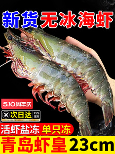 ���r�r���ك������r�������r���r������u�}�����r���r���rˮ�a