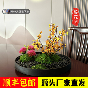 30cm�Ƶ�A�����g�[������̦�\�D�P�����b[���A����ʽ���^�߶�