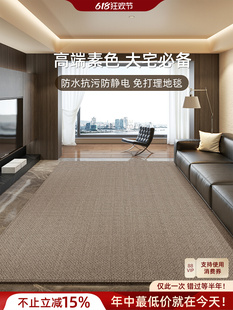 Carpet Living Room 2025 New Style Accessible Luxury High-End No-Wash Wipeable Home Sofa Floor Mat Bedroom Large Area Full Spread