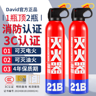 21B Vehicle-Mounted Water-Based High-Temperature-Resistant Explosion-Proof Fire Extinguisher for Home and Car Use for Private Cars, Small Cars, Portable Genuine