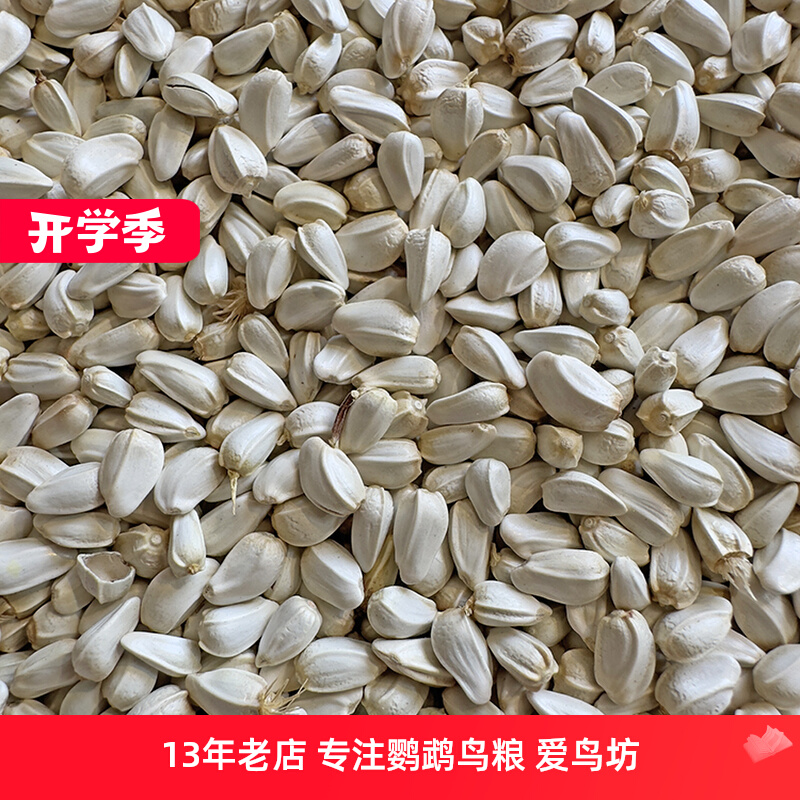 红花籽 红花子玄凤牡丹太阳虎皮鸟食鸟粮鸽粮仓鼠包邮5斤