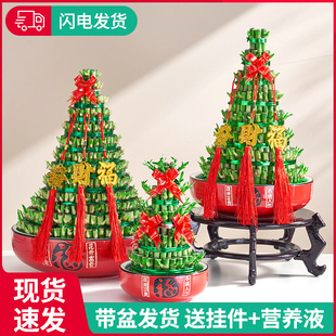 �����߸��F��ˮ���҃����Ի���ֲ�������D�\�lؔ���k���҃����՚�
