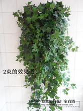 ֲ�1.2�װ����ڒ쳣����/�@�־��^ֲ���~�� �ڒ� �ٗl