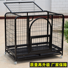 �\���\�Ӵ���Ȯ���͌��ﹷС��Ȯ�мӴֹ��\��ë���_ĦҮ��������