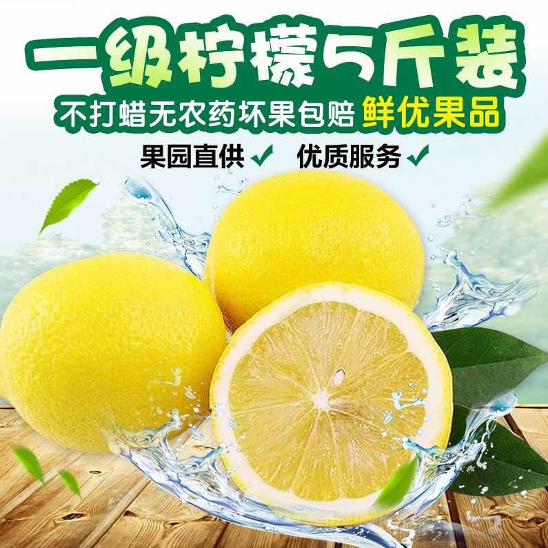 四川安岳黄柠檬果尤力克5斤装包邮 新鲜现摘当季水果15到30个
