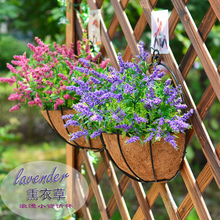 ���Gɫֲ��ڒ컨�ٻ�õ�廨�ٺϻ���ڻ����b޹�²��b�