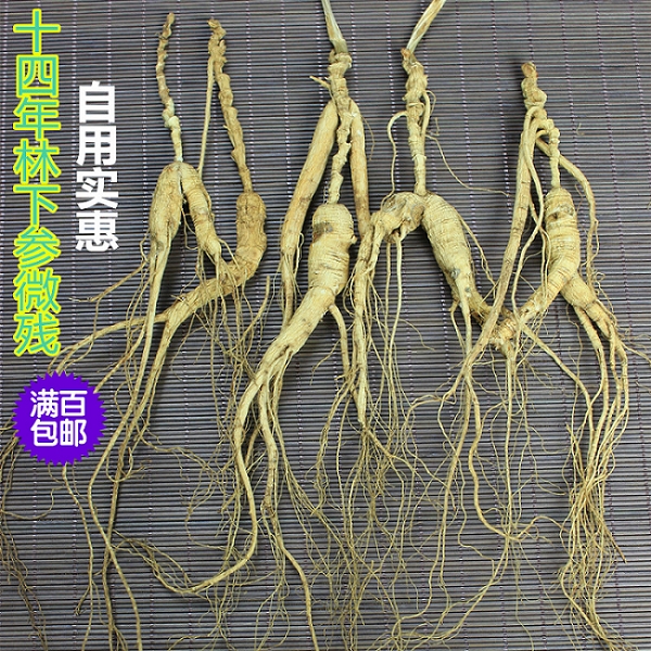 撒籽无农药无化肥林下籽非野山参16-17年非移山参残枝林下参残枝