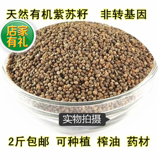 �|�����K�� ���K�� �F�K�� ���K�� �� ���K�ӷN�� ��؛500��