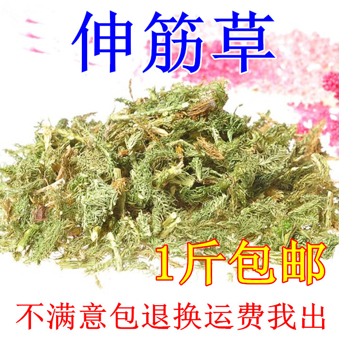 云南野生伸筋草配远志仁泡脚马尾申筋草舒筋草通筋草500g包邮