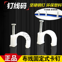 aᔾᔾA늾W۾W8mmˮUι̶