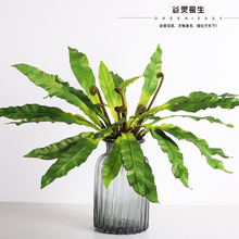 �҃��b���ֲ��ާᎧ�B��ާ�Gֲ����ֲ��M�����b�ٻ��~��