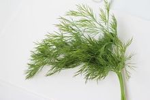 ���r���� ���r�P�}  ������ ��� ������100g ��������6�����]