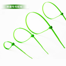 �������������ٗl���ټٻ�����ֲ����~�G�~�����b����ϾGֲ����