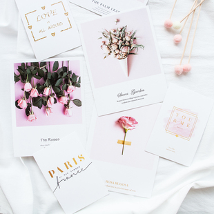 Ins style pink background plant card small fresh girl heart photo photography background set decoration props card