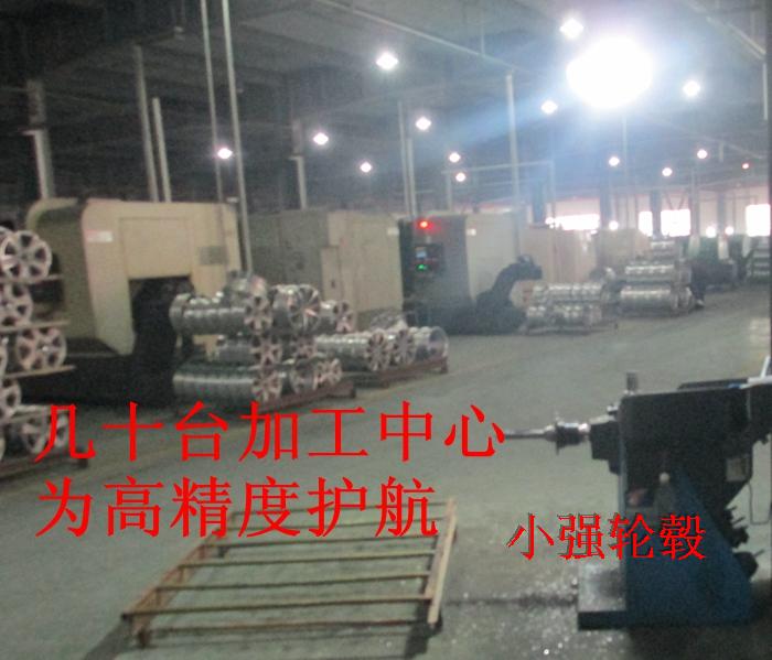 Suitable for Byd Su Rui Qin Dolphin Modified Seagull Hub Wheels