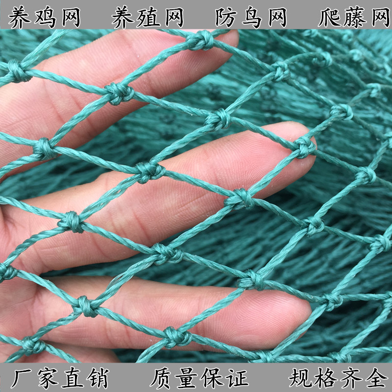 j8养殖防鸟农用用网天网鱼塘加粗大棚葡萄园防鸟果树防鸟网尼龙g3