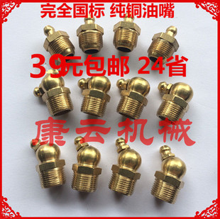 ✅ National Standard Copper Grease Nozzle Iron Galvanized Oil Nozzle Copper Oil Nozzle Straight Nozzle 45 Degree Curved Oil Nozzle Oil Nozzle Oil Gun M6M8M10M