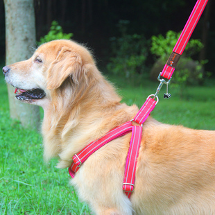 Sturdy Dog ​​Chain, Dog Leash, Harness, Dog Walking Rope, Satsuma Golden Retriever, Medium and Large Dog Pet Supplies