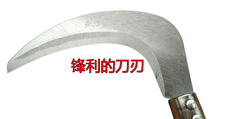 j8锋利刀割长柄全钢双面包邮刀具割草刀刃户外镰刀农用园林g3