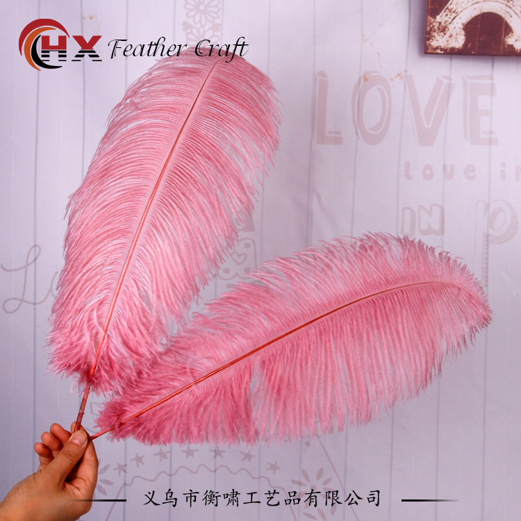 Plumas de avestruz DIY red ins rosa de avestruz accesorios de fotografía de camello adornos de plumas de boda decoración