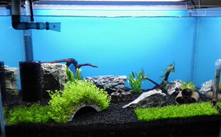 �ڽ�ɳ��ɳ�ӽ���ɰ�~���쾰��ɰˮ�����ɳ�^�p�r��ȸ�~ˮ��ɰ