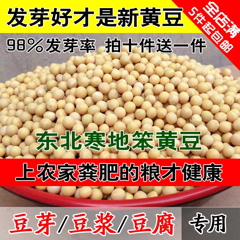 2023新粮东北黄豆农家黄豆黄豆芽豆浆豆腐专用豆笨黄豆新大豆五谷