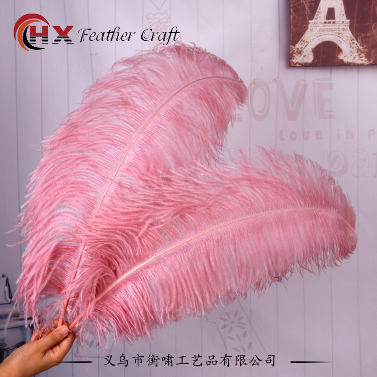Plumas de avestruz DIY red ins rosa de avestruz accesorios de fotografía de camello adornos de plumas de boda decoración