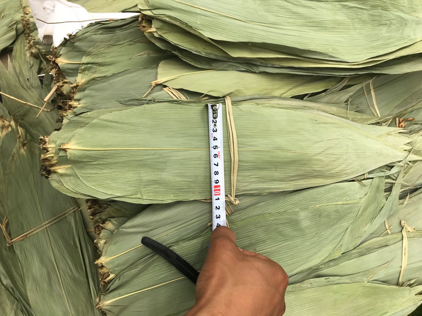 Zongye 50kg Zongzi Leaves Whole Bundle Dry Large Fresh Free-of-mail Brown Leaves Vietnam Dendrocalamus Dendrocalamus Makeri Leaves Bulk Large
