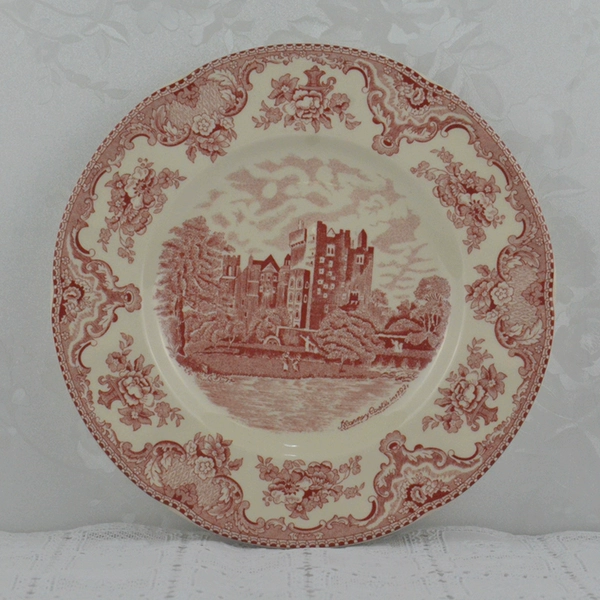 10 inch dinner plate✦