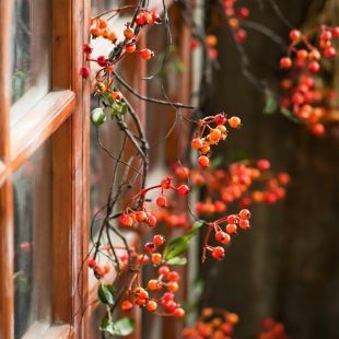 Manju Berry Vine 1m Red Fruit Vine Fake Fruit Air Conditioning Pipe Wrapping Decorative Vine