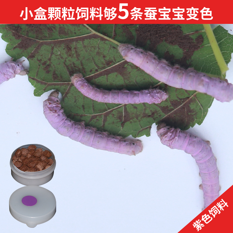 보라색 사료(작은 상자)