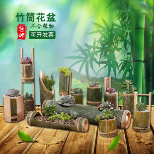 Kindergarten Decorative Bamboo Tube Flower Pots Succulents Bamboo Creative Hanging Wall Hanging Combination Potted Plants Wholesale