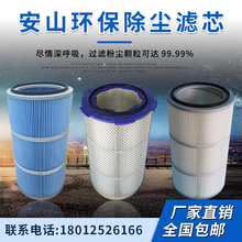新款工业六耳快拆滤筒粉末除尘器喷砂抛丸机静电喷涂喷粉喷塑滤芯