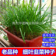 ²˸Fϸt~̨߲ժļ²˷NӷNݴ