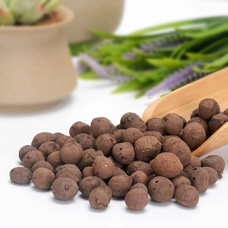 Большие и маленькие керамические шарики суккуленты