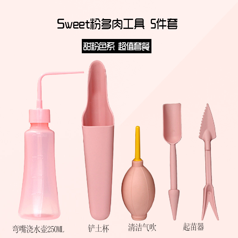 Violet Sweet Powder Set de 5 piezas