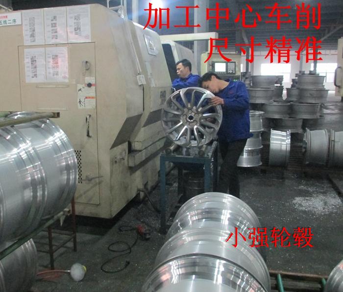 Suitable for Byd Su Rui Qin Dolphin Modified Seagull Hub Wheels