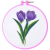 ΔЖδδδδPurple Tulip δЖδδδδ