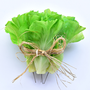 ����ˮ���߲˼��߲�ģ�͵��������~Ƭ��˔[���r�Ҙ��bײ�ֲ��