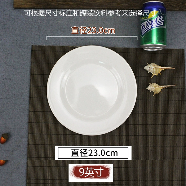 బɷబɷ9-inch white flat disk