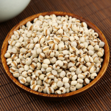 F޲ ޲ ޲׷ ؛ r ޲޲޲500 