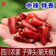 中辣香朝天椒子弹头辣椒农家干红辣椒四川干辣椒红香料海椒250g